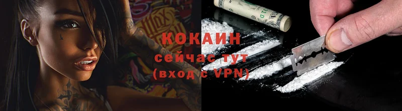 COCAIN Эквадор  даркнет сайт  Каневская 