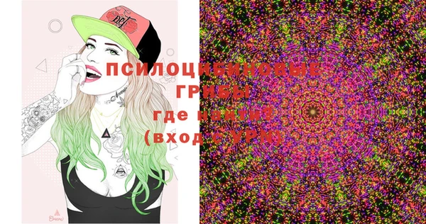 2c-b Няндома