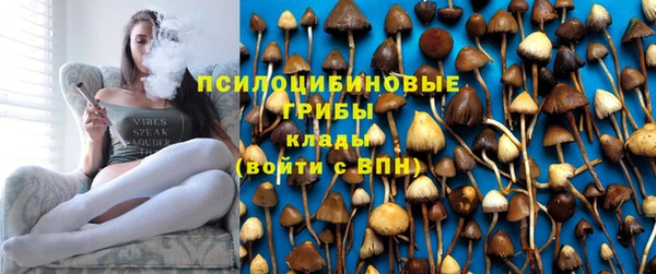 твердый Осташков
