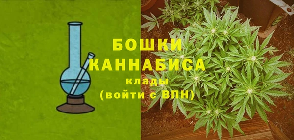 гидропоника Нягань