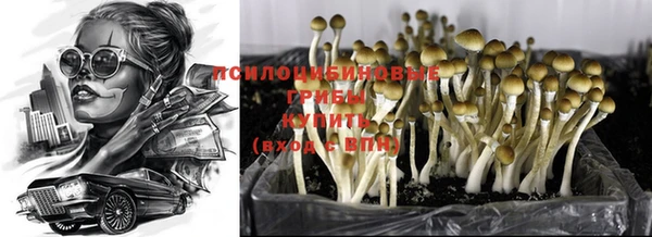 spice Нязепетровск